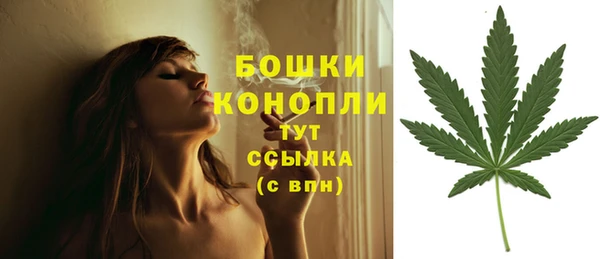 эйфоретик Нязепетровск