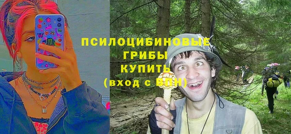 эйфоретик Нязепетровск