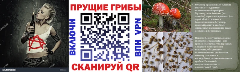 Псилоцибиновые грибы прущие грибы  Сергач 